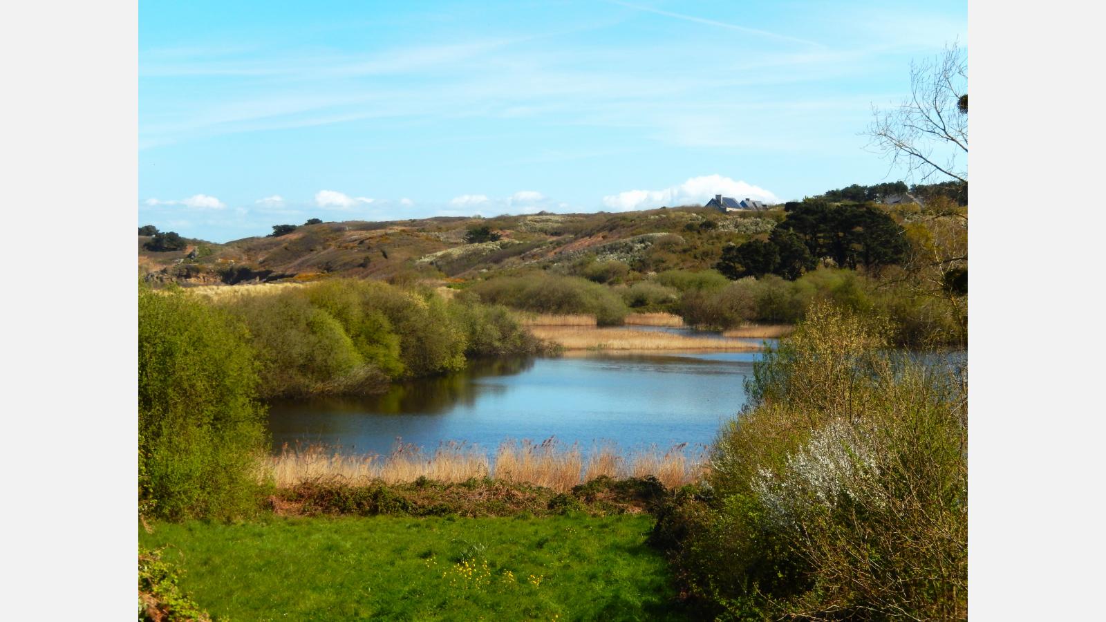 etang 3 anse du verger