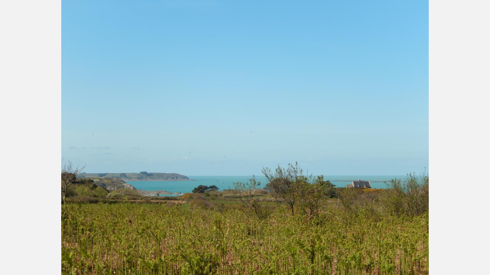 mer anse du verger