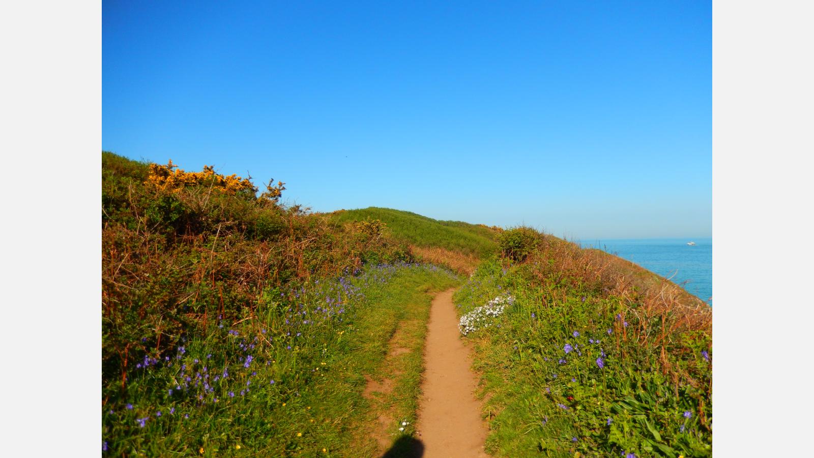 chemin
