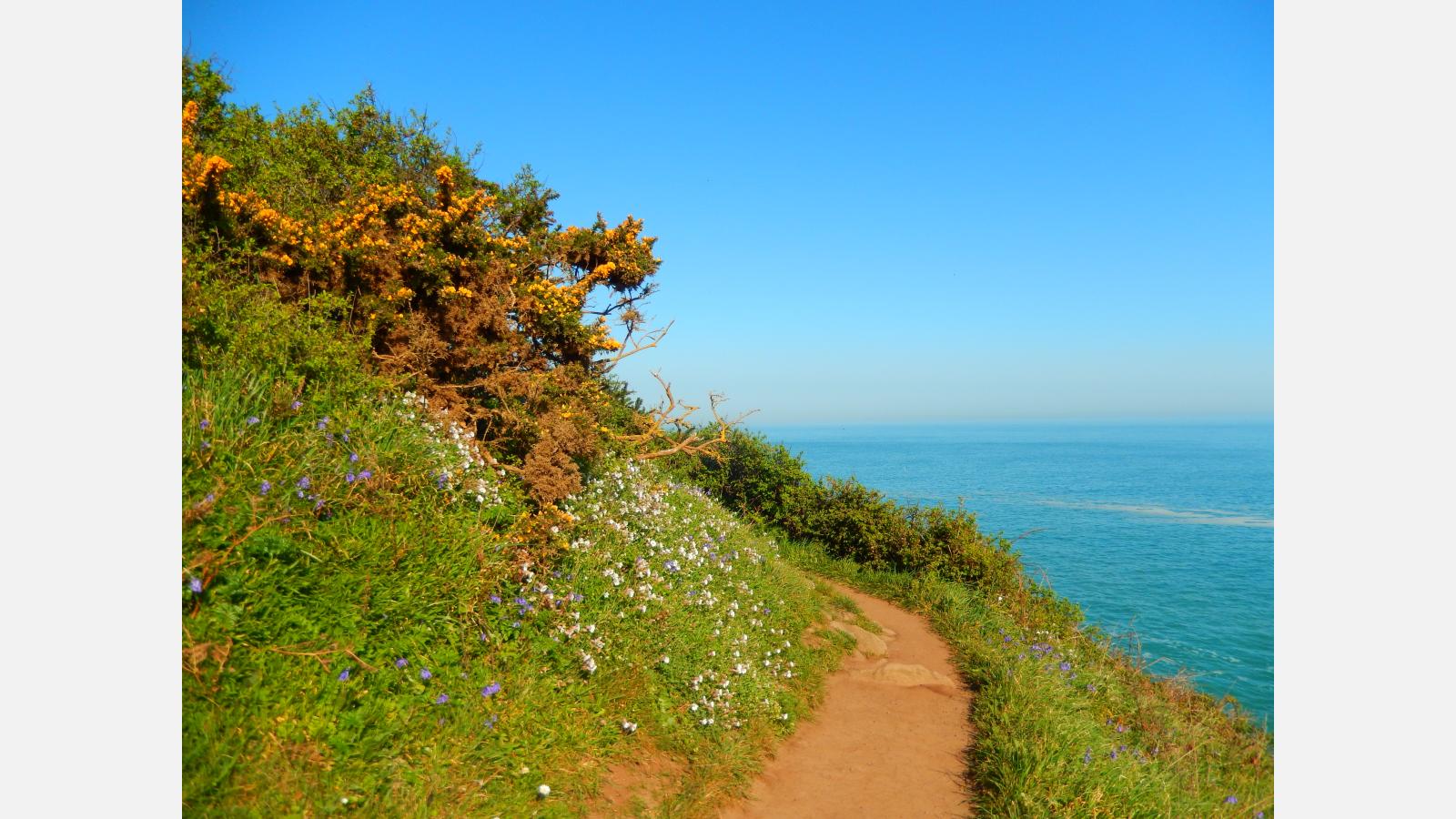 chemin