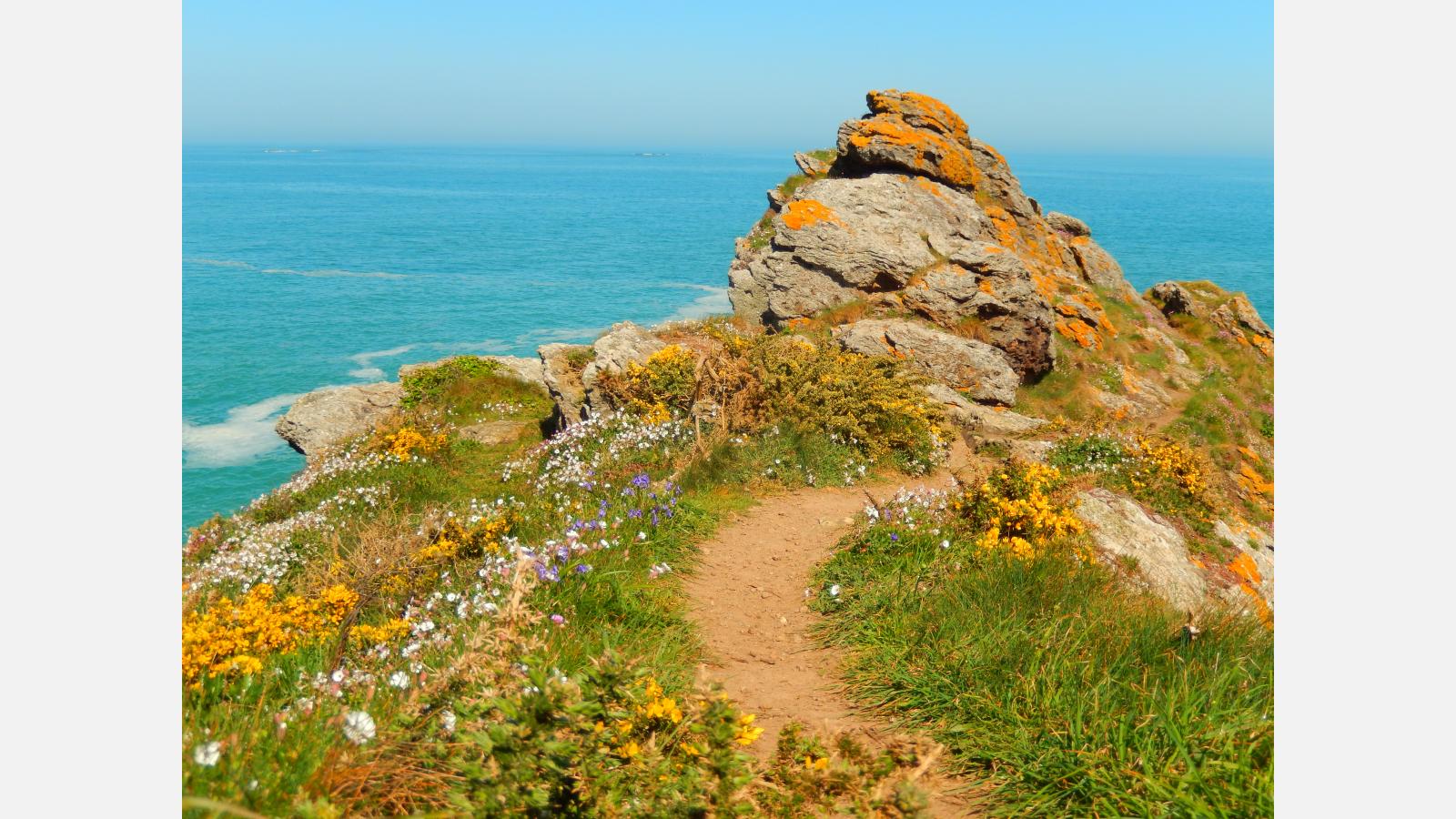 chemin