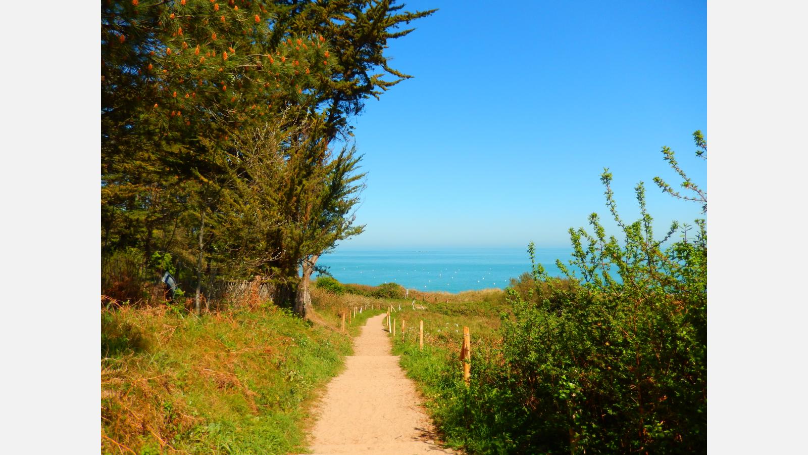 chemin
