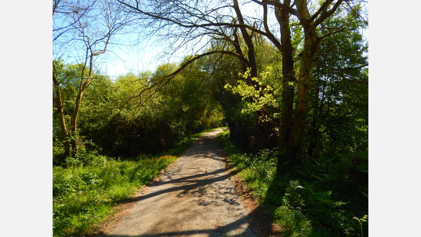 chemin