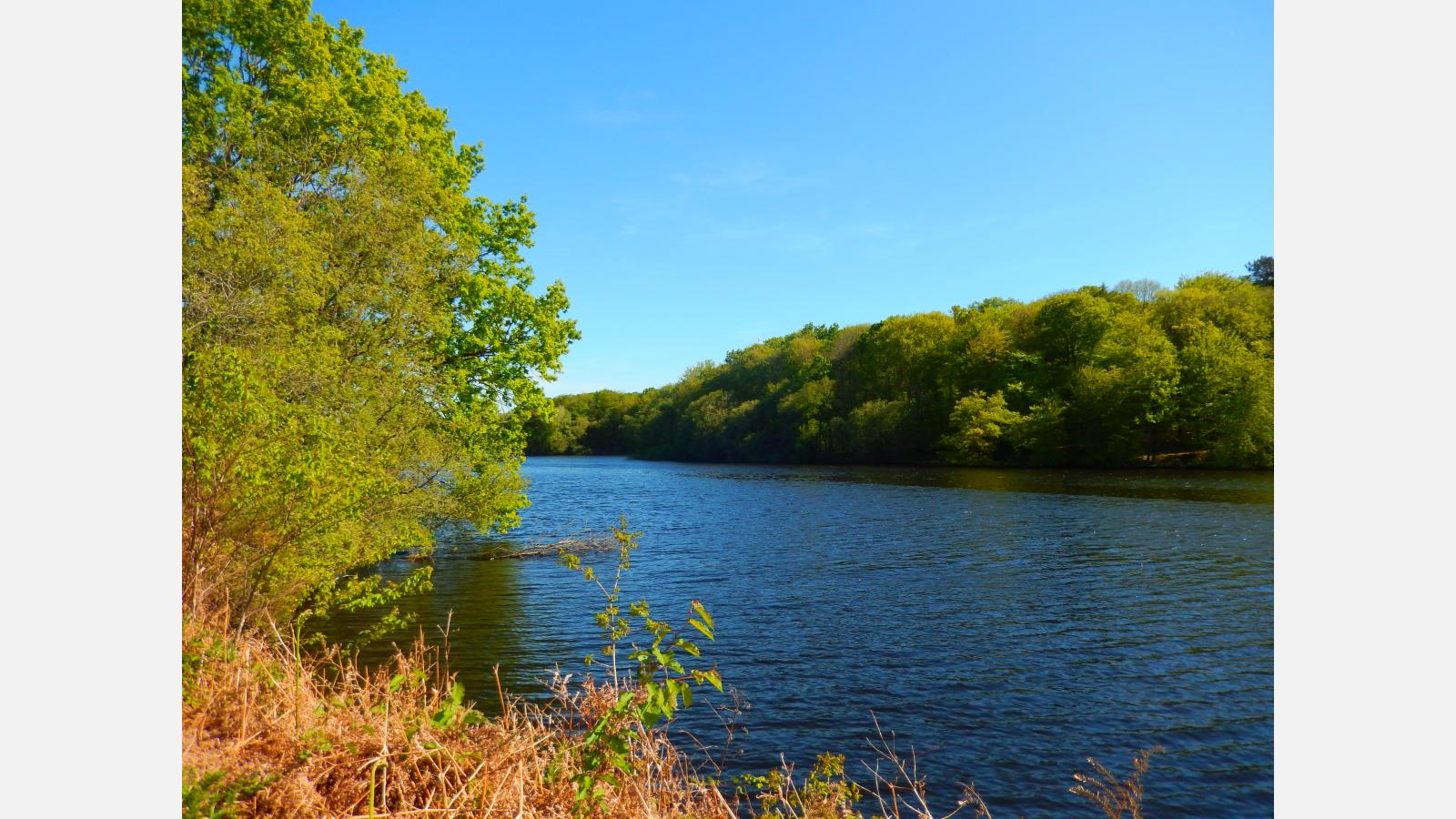 etang