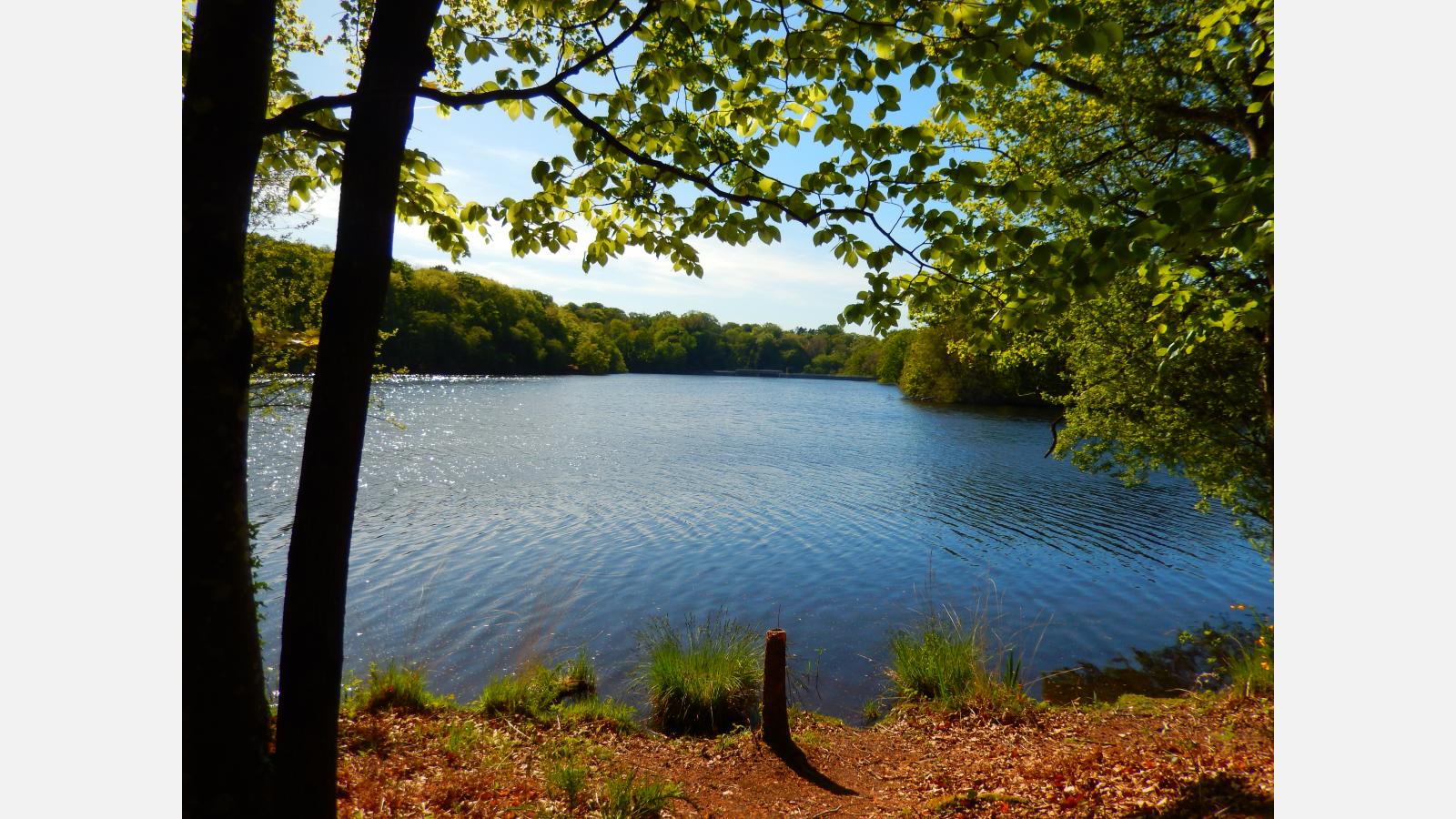 etang