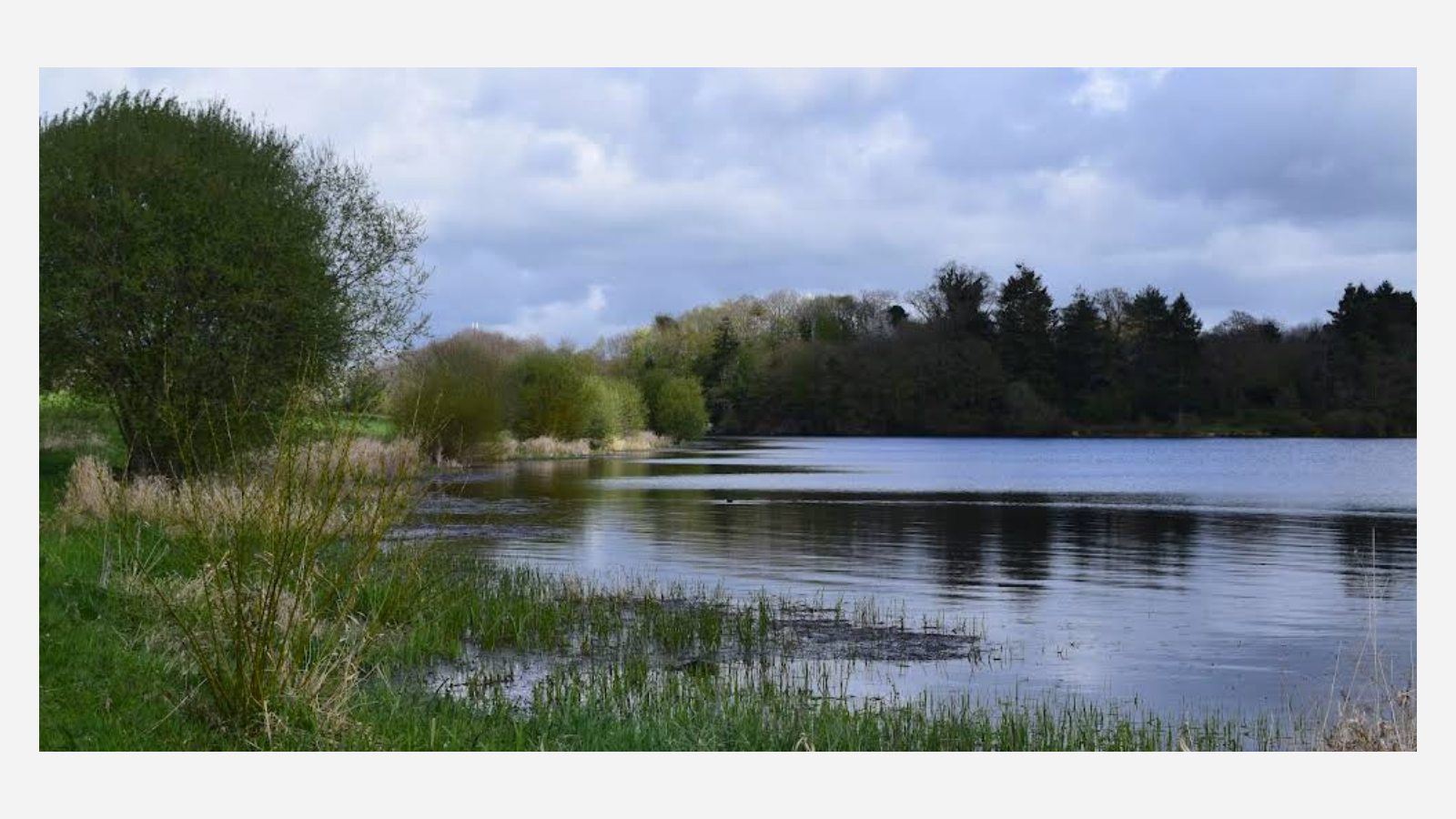 Etang de beaufort