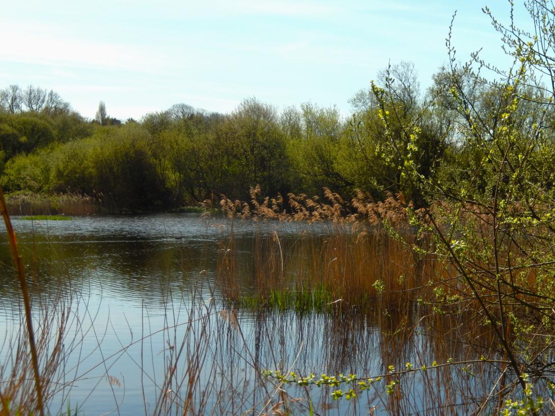 etangs 2 anse du verger