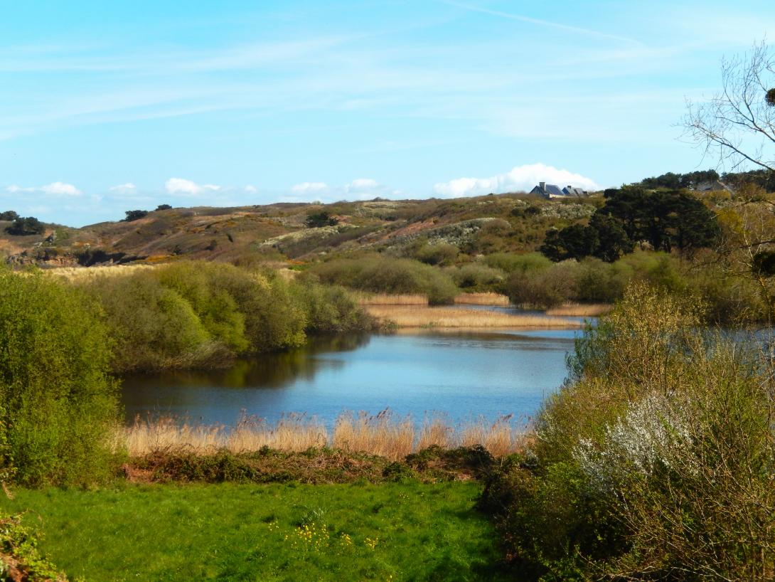 etang 3 anse du verger