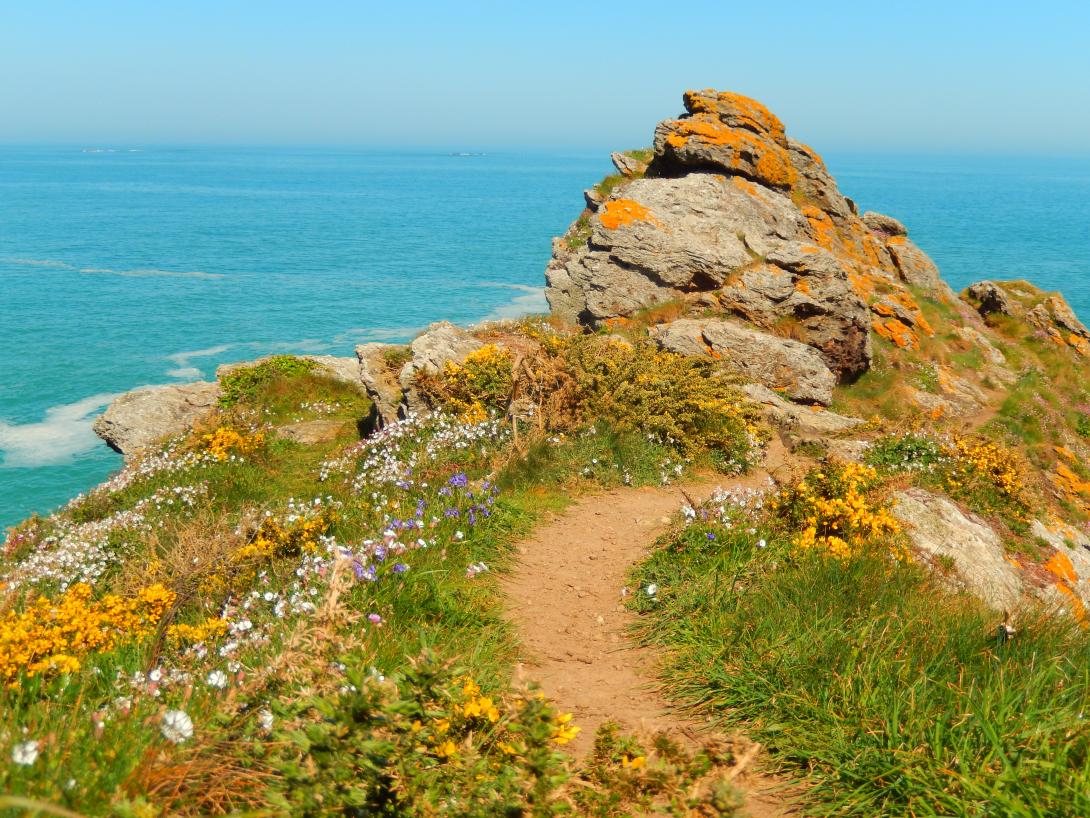 la pointe des grands nez