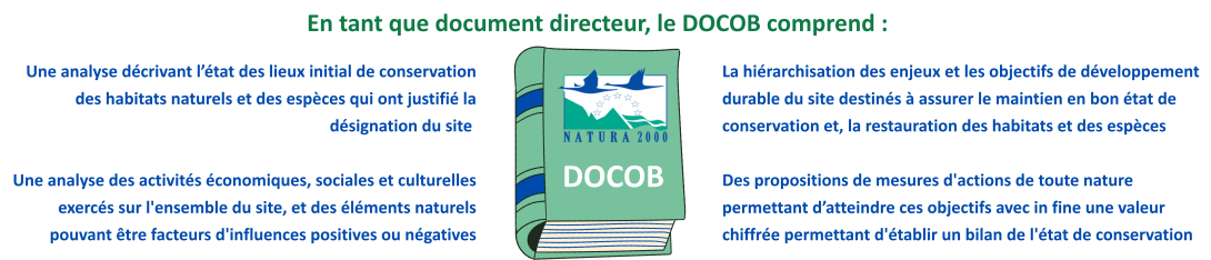 docob explication