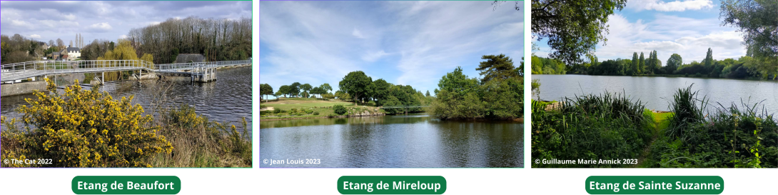 les etangs
