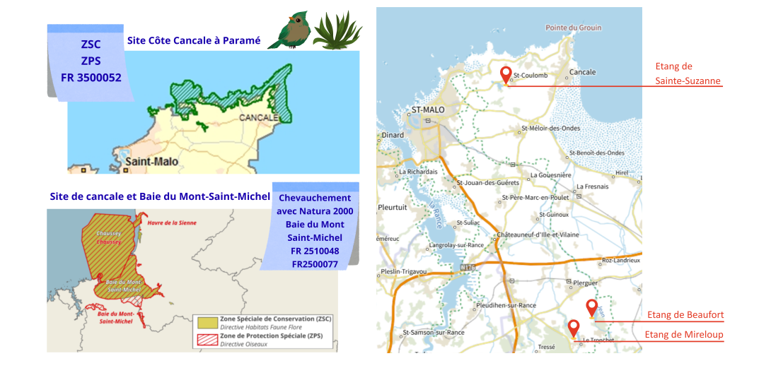 plan du site